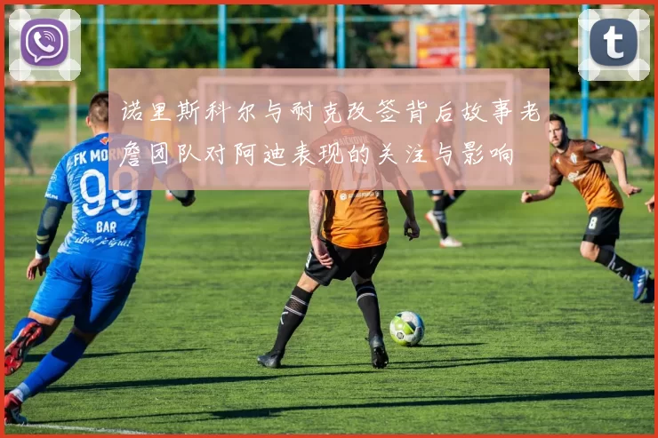 诺里斯科尔与耐克改签背后故事老詹团队对阿迪表现的关注与影响